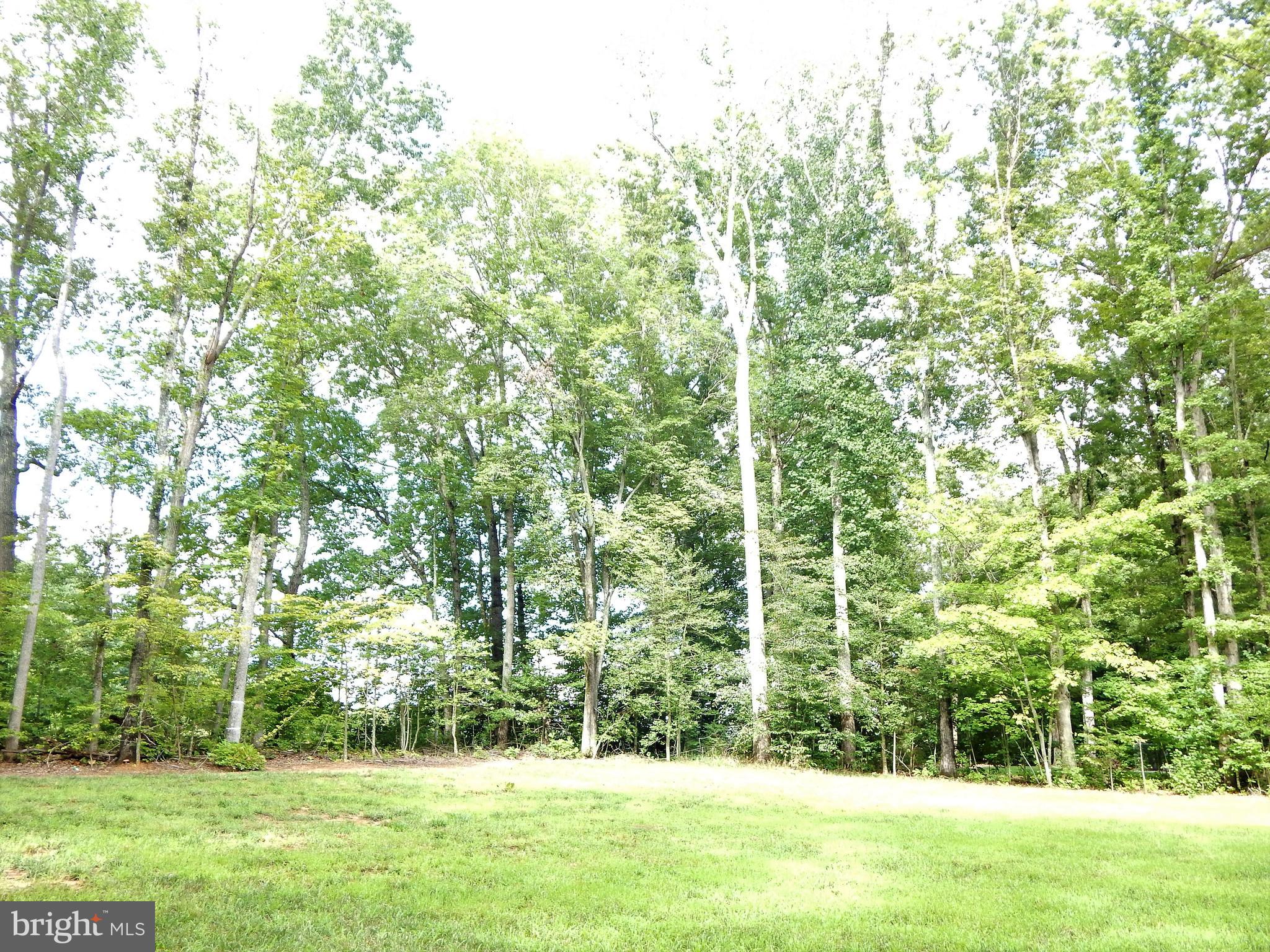 10122 Fairview Road Partlow, VA 22534 - Photo 49 of 51 Gallery Image 49