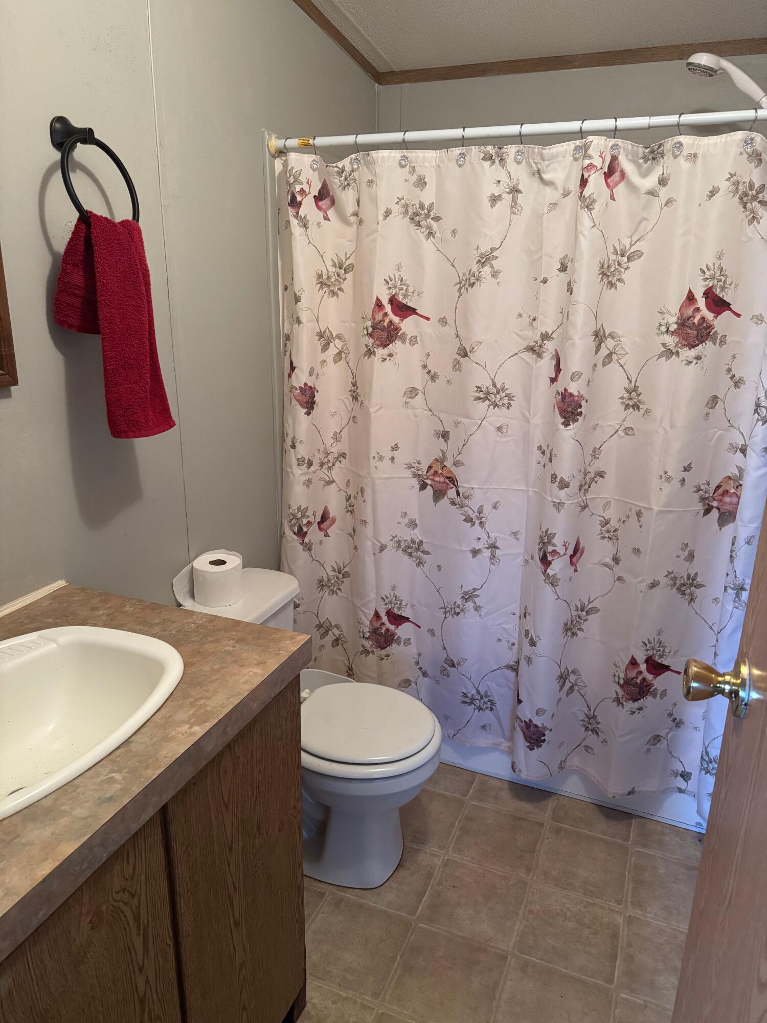 113 Ridgeview Lane Birchwood, TN 37308 - Photo 8 of 16 oIYRNVvc