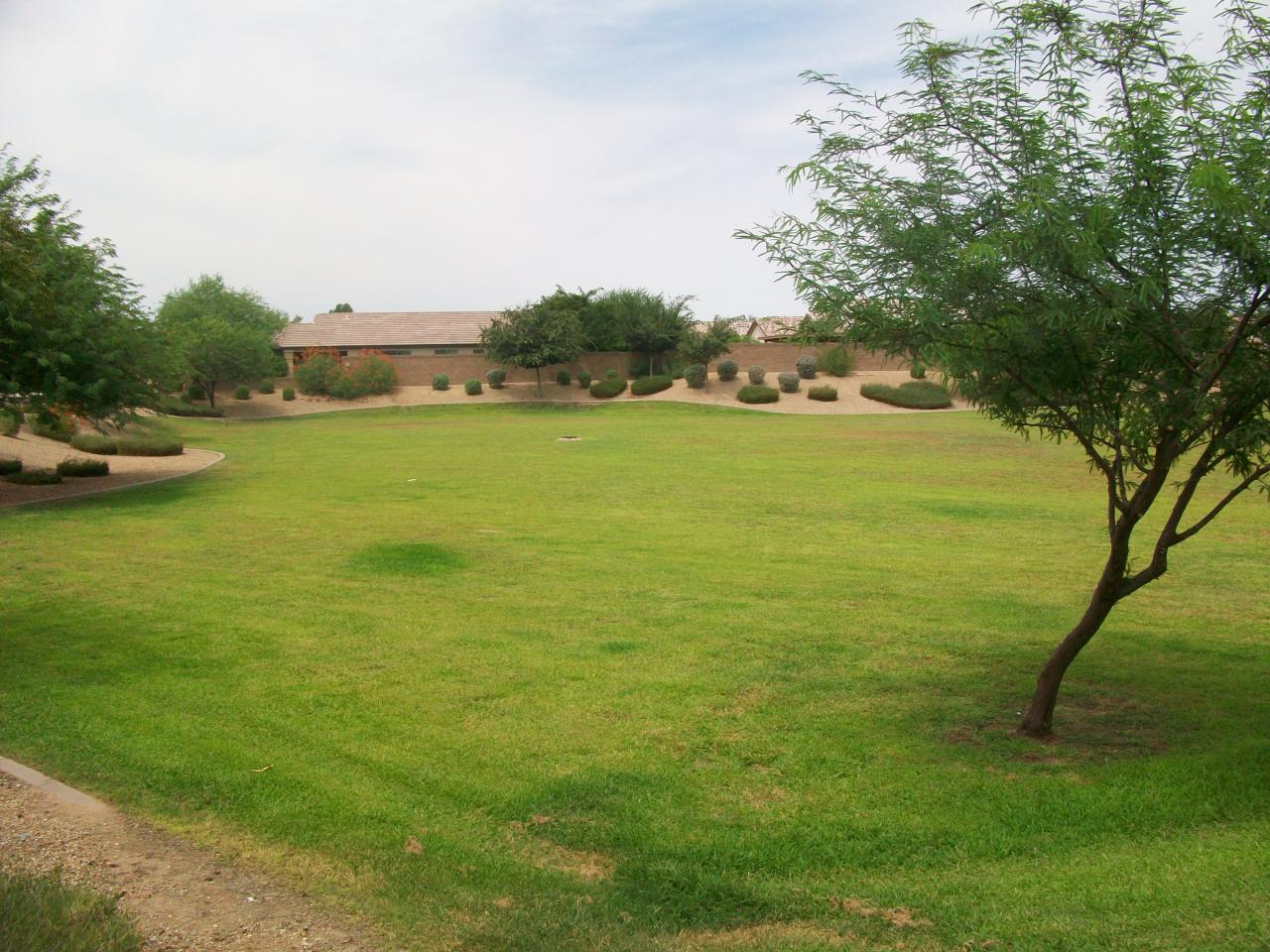 14852 West Hearn Road Surprise, AZ 85379 - Photo 4 of 8 Park down the street