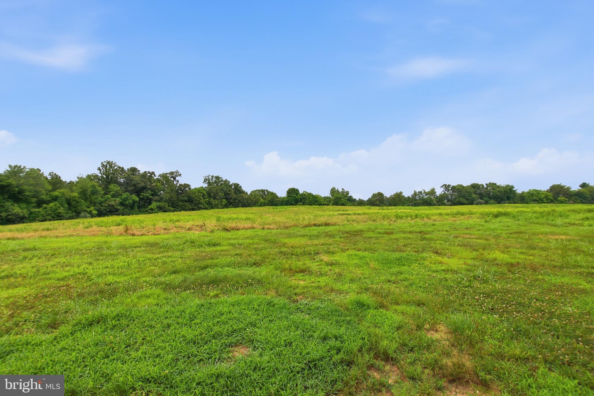 4407 Indian Run Road Amissville, VA 20106 - Photo 10 of 54