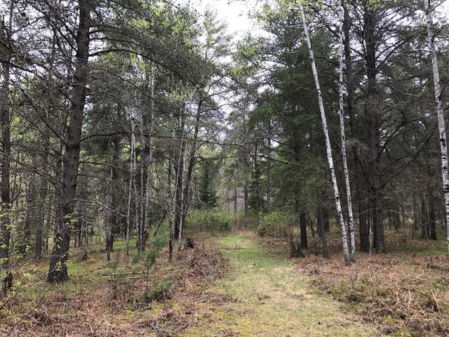 25-acres River Road Eagle River, WI 54521 - Photo 2 of 10 Gallery Image 2