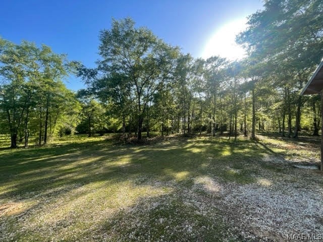 628 Old Elba Road Coffee Springs, AL 36318 - Photo 32 of 32 Gallery Image 32