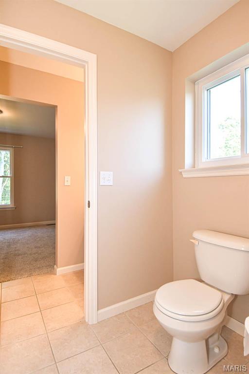 907 Palomino Path High Ridge, MO 63049 - Photo 37 of 57