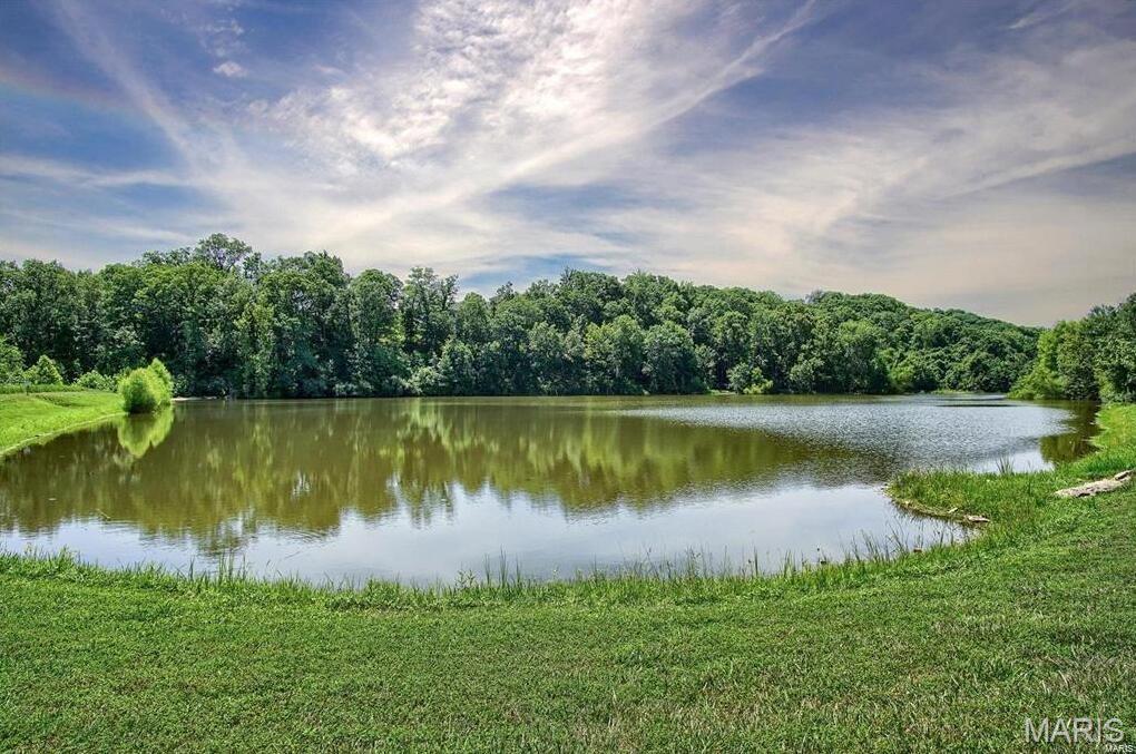 907 Palomino Path High Ridge, MO 63049 - Photo 51 of 57