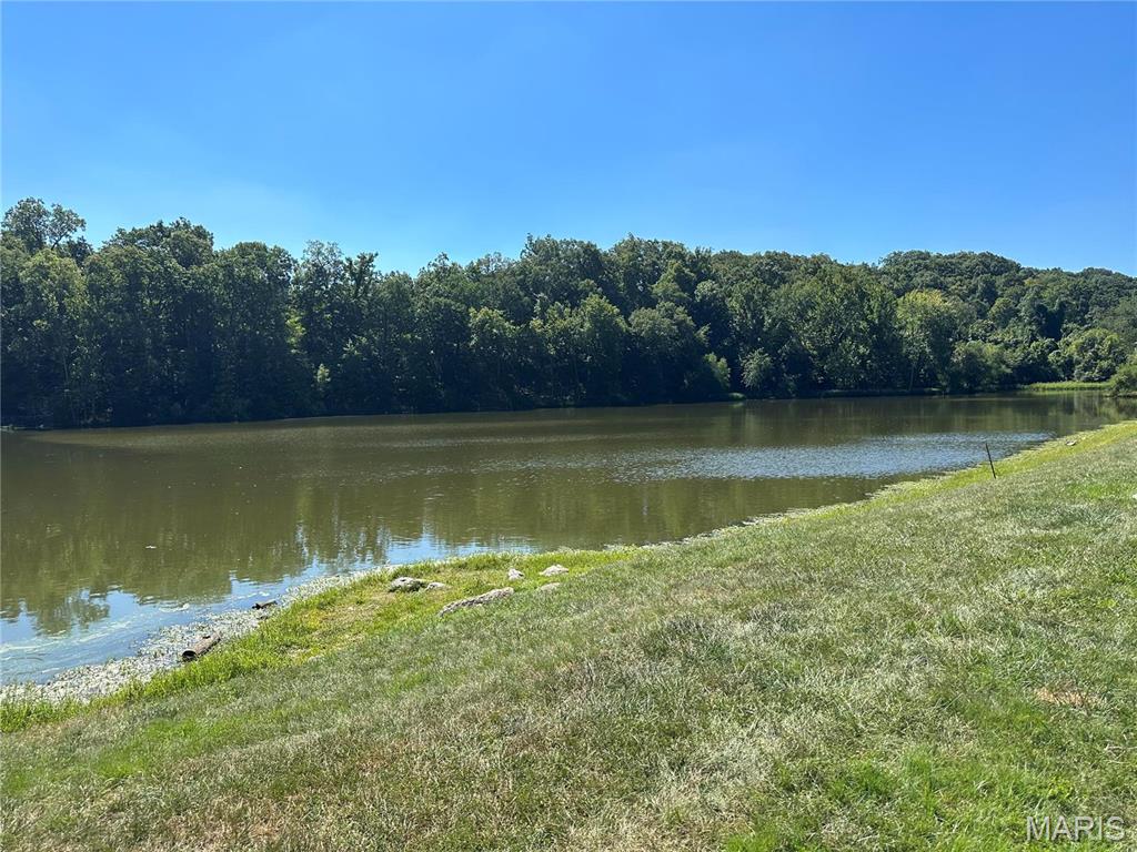 907 Palomino Path High Ridge, MO 63049 - Photo 54 of 57