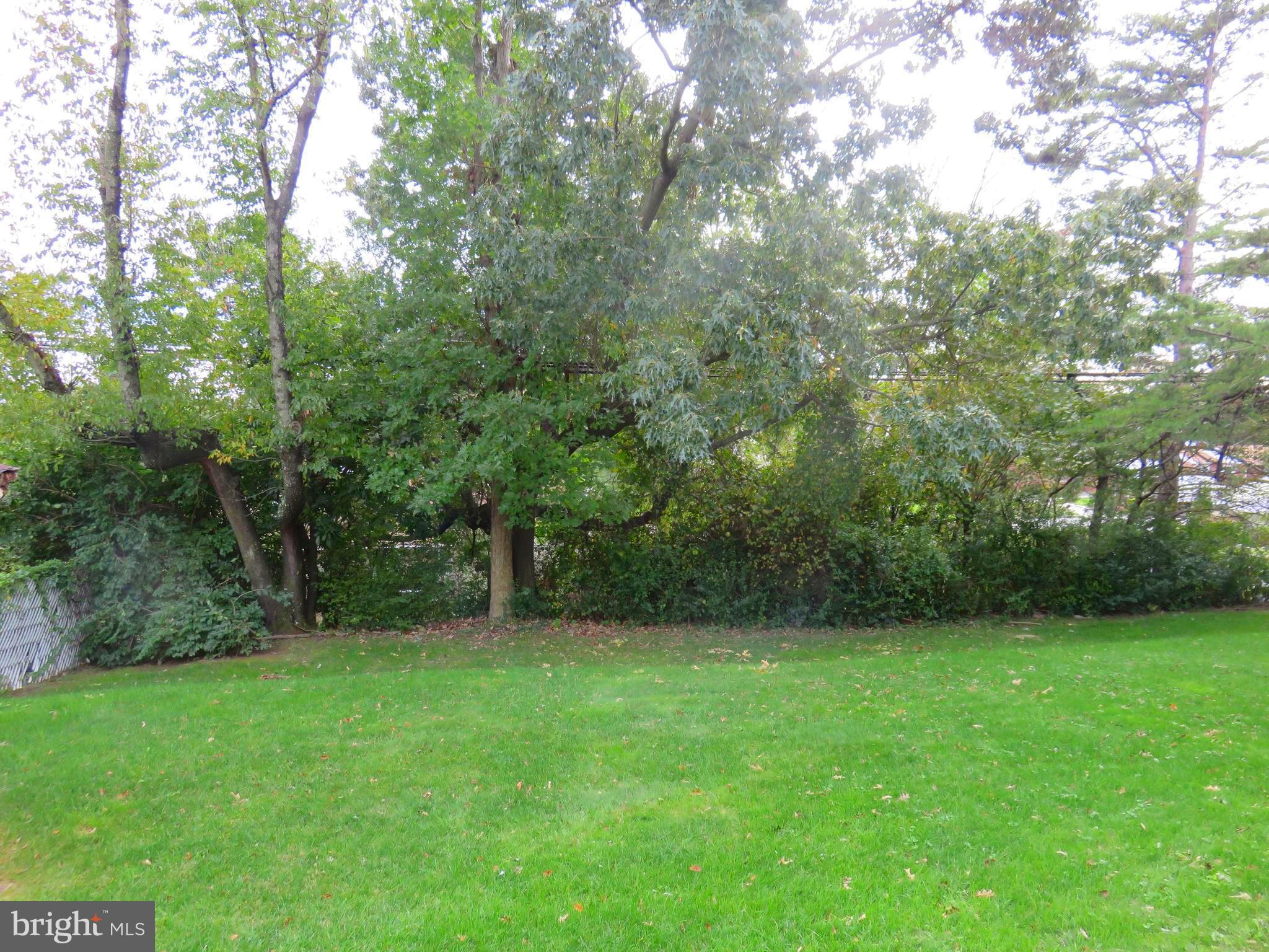 2441 Lakewood Road Baltimore, MD 21234 - Photo 4 of 21 EXPANSIVE TREE LINED BACK YARD