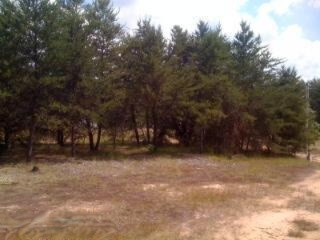785 Dusty Road Irons, MI 49644 - Photo 4 of 4 Additional Photo