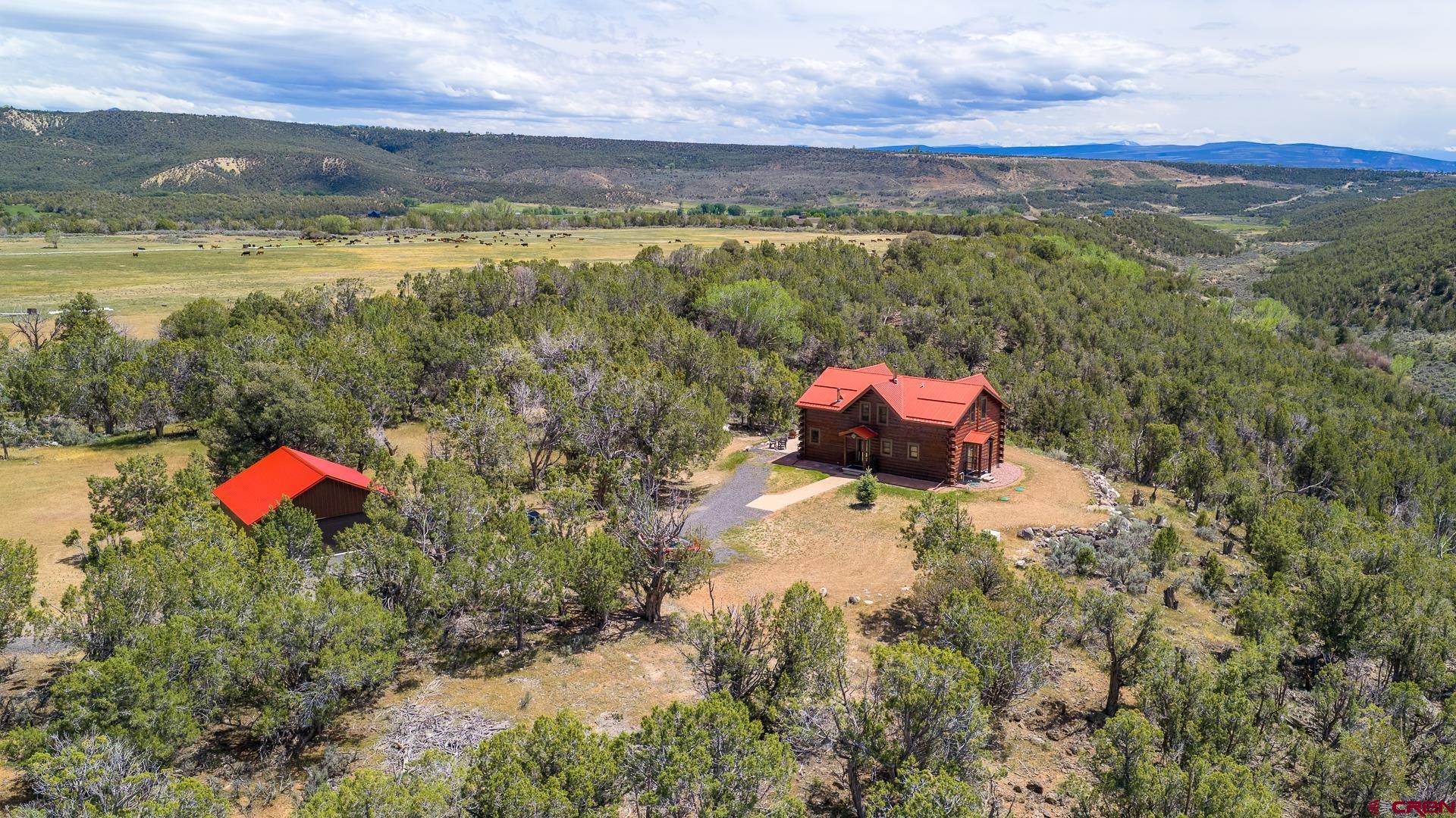 26986 Cactus Park Road Cedaredge, CO 81413 - Photo 9 of 43