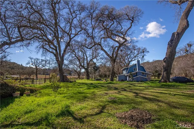 a view of a park with large trees