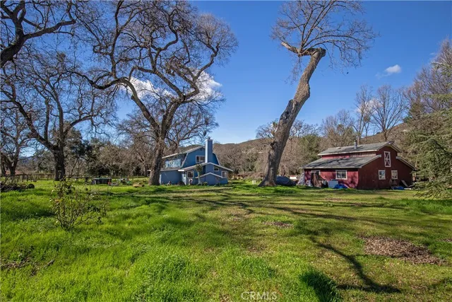 a view of a park with large trees