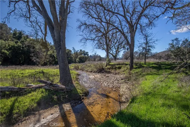 a view of backyard with green space