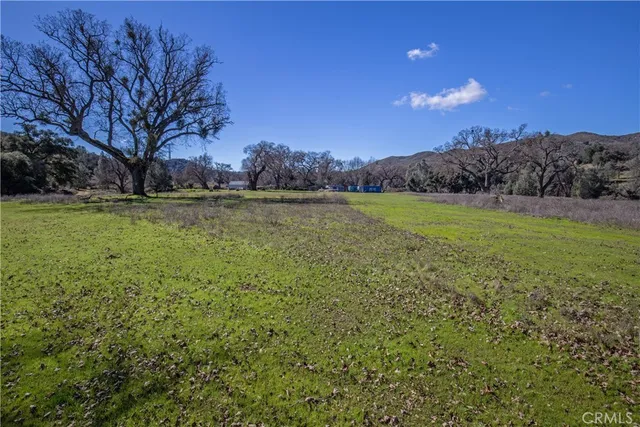 a view of a field with an trees