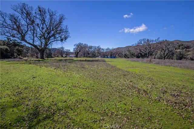 a view of a field with an trees