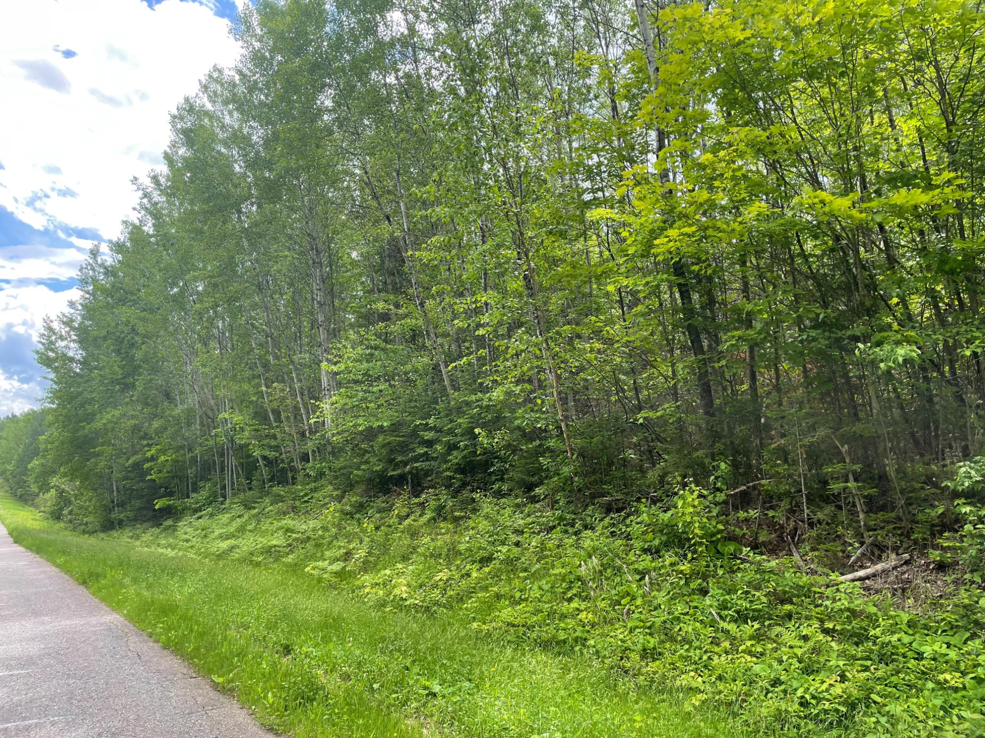 On Bear Lake Road, Unit 40 ACRES Butternut, WI 54514 - Photo 7 of 14 Gallery Image 7
