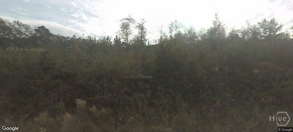 343 Pleasant Acres Road Springfield, GA 31329 - Photo 2 of 2