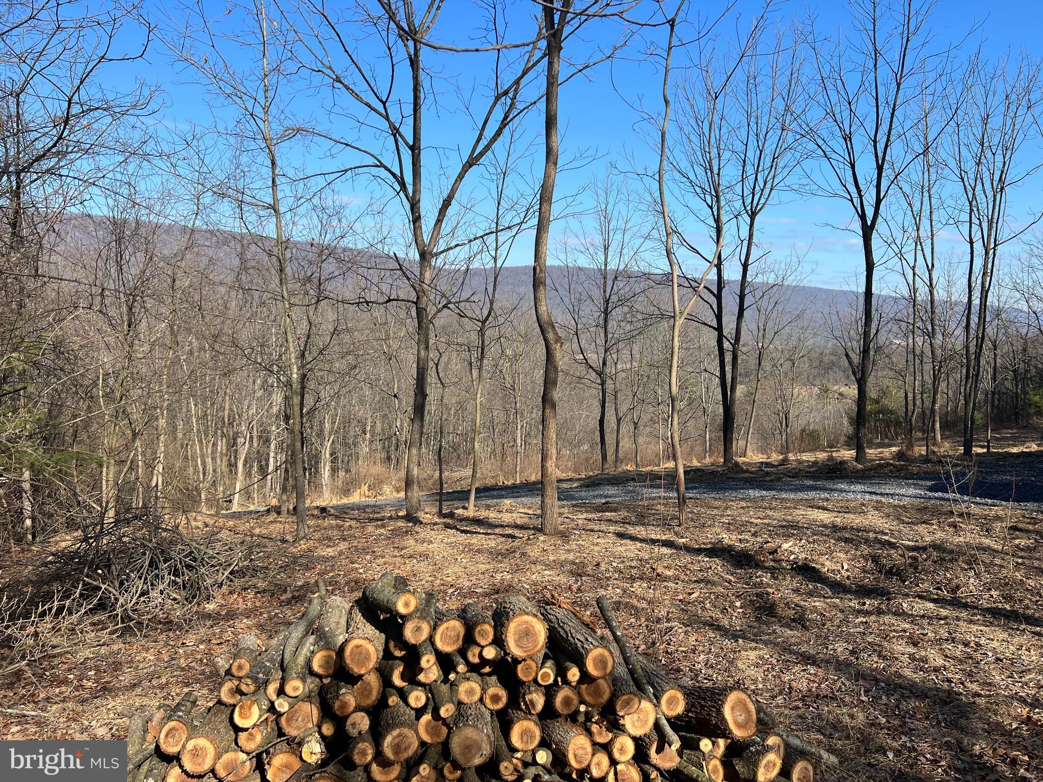 Lot 2-1124 Dormantown Road McClure, PA 17841 - Photo 6 of 15 Gallery Image 6