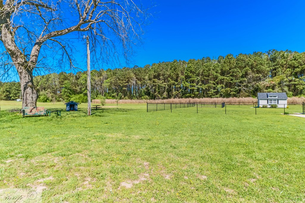 230 Kator Dunn Road Albertson, NC 28508 - Photo 6 of 32 Gallery Image 6