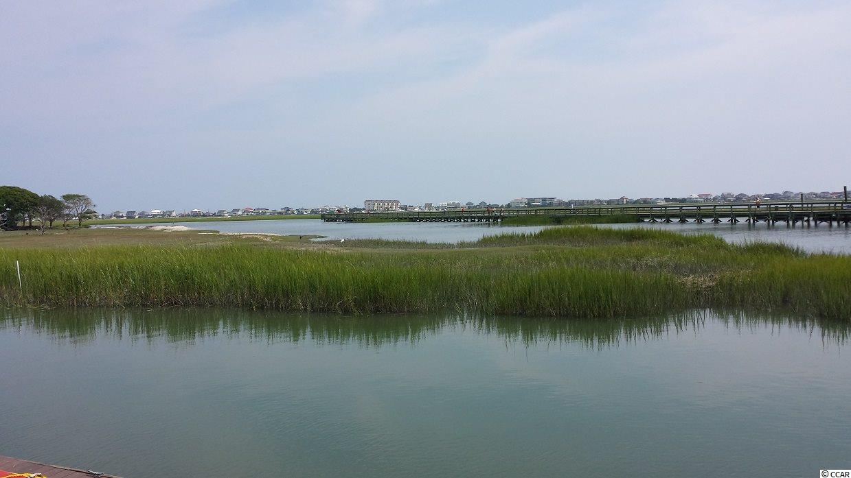 135 D Veranda Way, Unit 135D Murrells Inlet, SC 29576 - Photo 19 of 19 Gallery Image 19