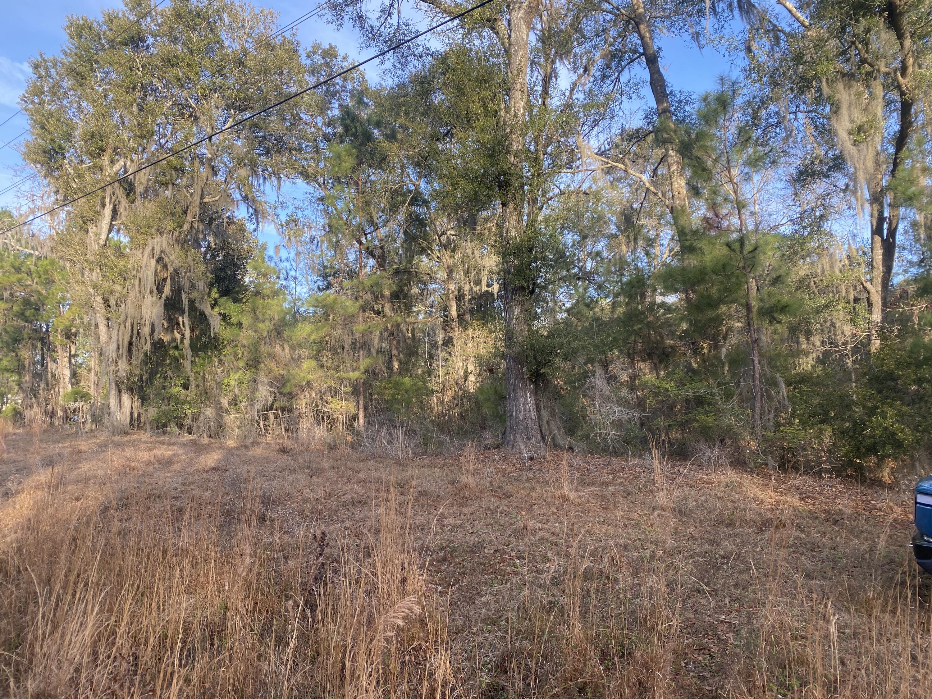 1970 Liberia Road Wadmalaw Island, SC 29487 - Photo 2 of 12 1970 Liberia Rd (2)