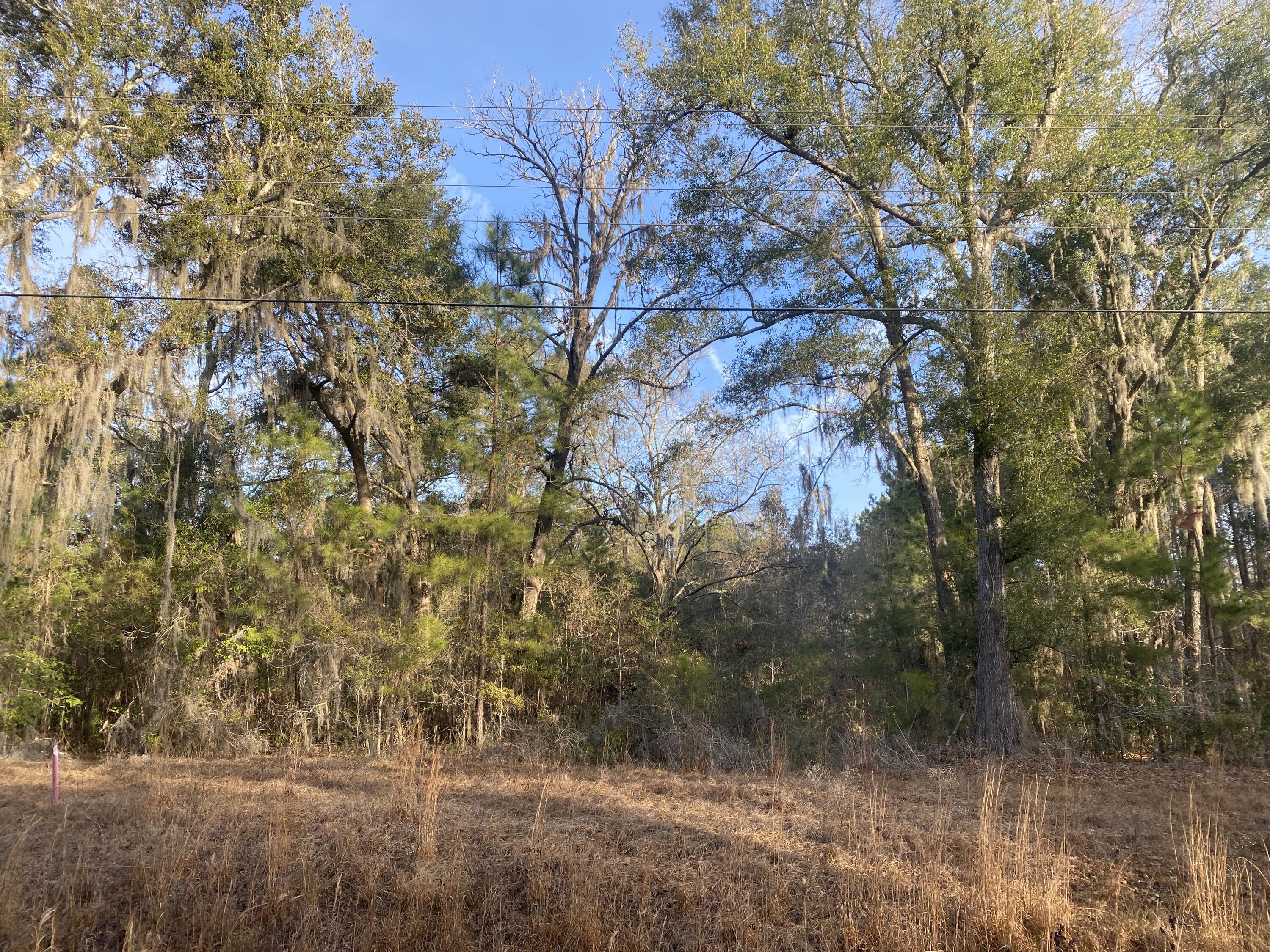 1970 Liberia Road Wadmalaw Island, SC 29487 - Photo 3 of 12 1970 Liberia Rd (3)