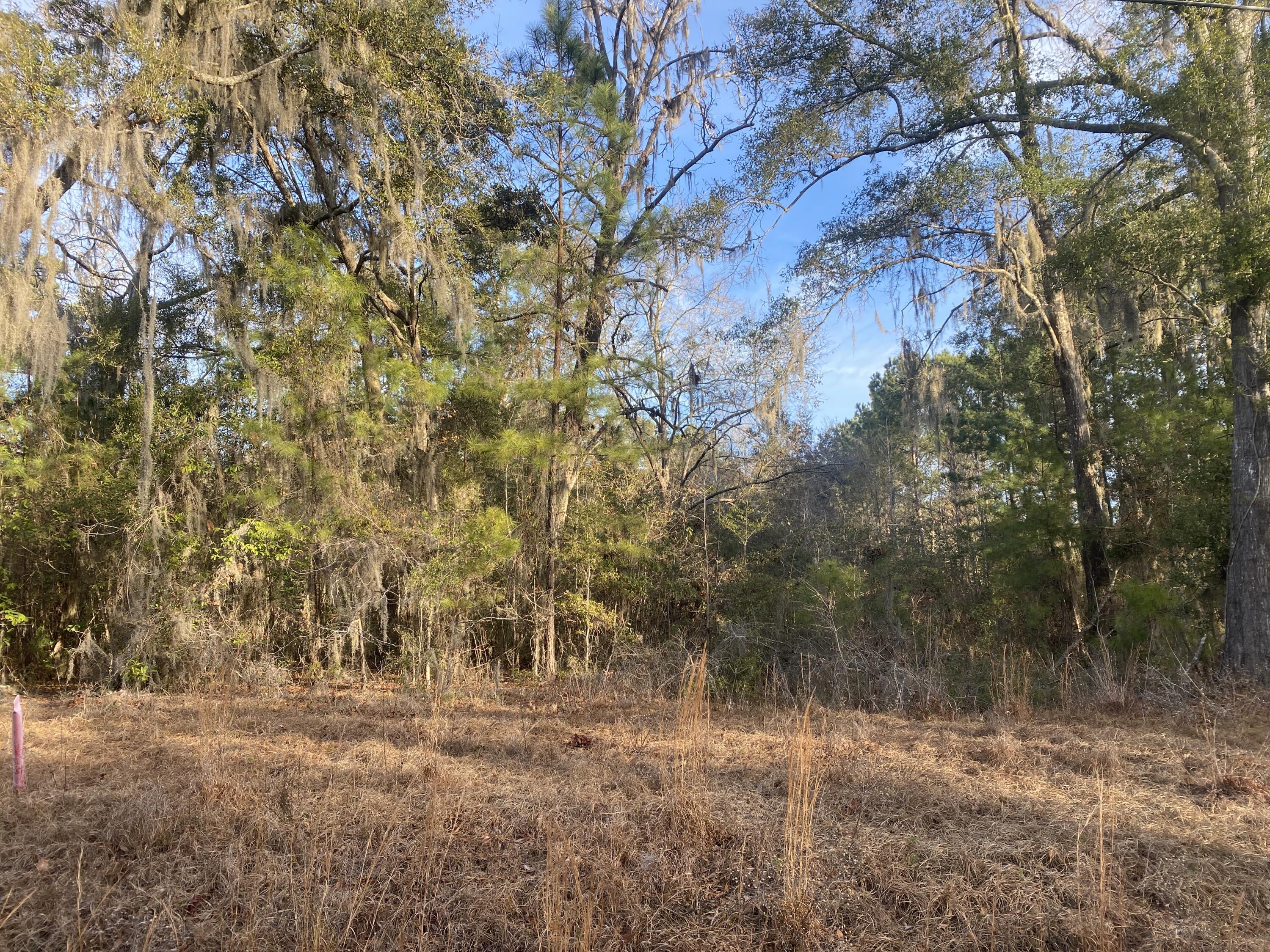 1970 Liberia Road Wadmalaw Island, SC 29487 - Photo 4 of 12 1970 Liberia Rd (4)