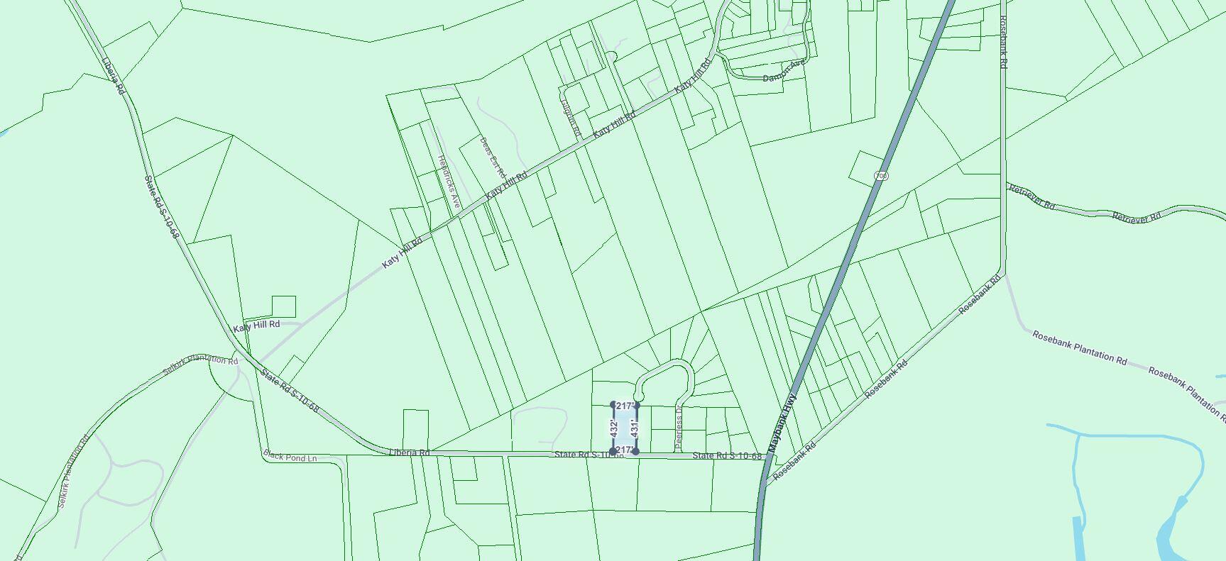 1970 Liberia Road Wadmalaw Island, SC 29487 - Photo 7 of 12 1970 Liberia Rd (8)