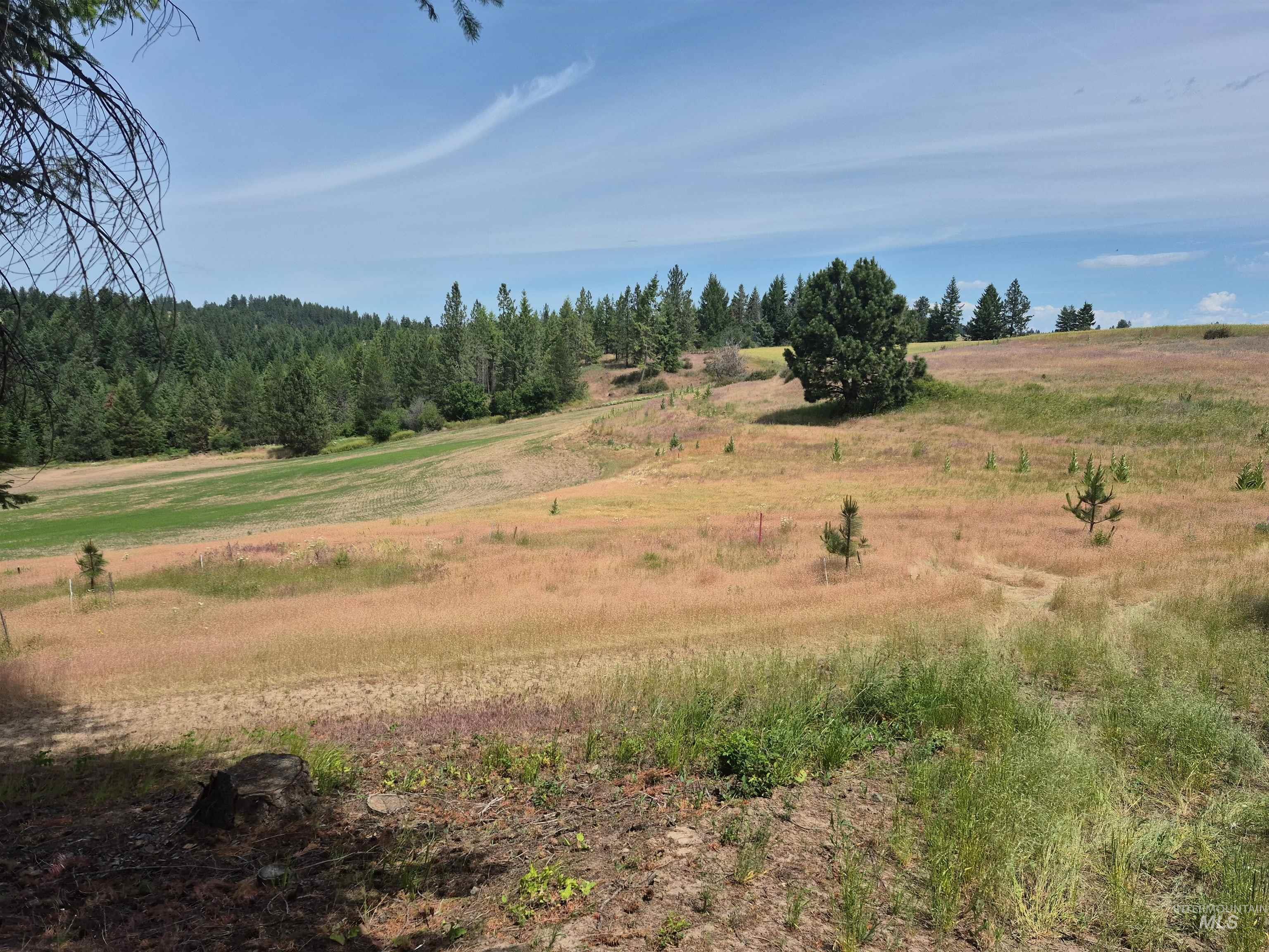 1044 Clemenhagen Road Kendrick, ID 83537 - Photo 34 of 49