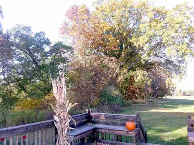 819 Columbia Road Washburn, IL 61570 - Photo 11 of 15