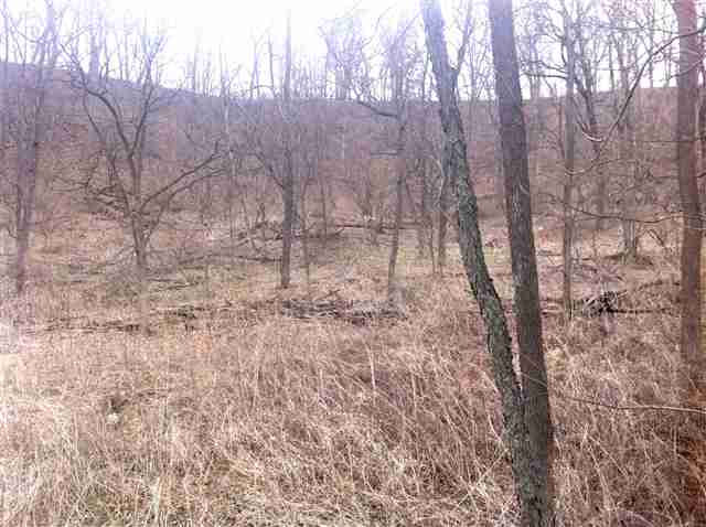 819 Columbia Road Washburn, IL 61570 - Photo 12 of 15
