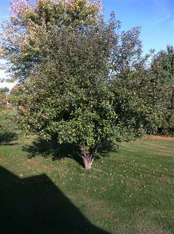 819 Columbia Road Washburn, IL 61570 - Photo 7 of 15