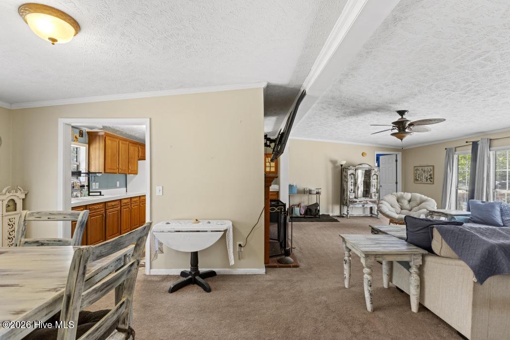 395 Peru Road Sneads Ferry, NC 28460 - Photo 12 of 31 425A3127