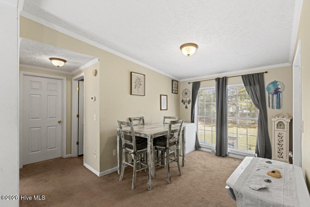 395 Peru Road Sneads Ferry, NC 28460 - Photo 13 of 31 425A3124
