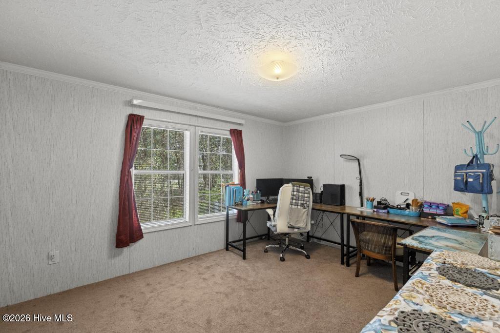 395 Peru Road Sneads Ferry, NC 28460 - Photo 15 of 31 425A3109