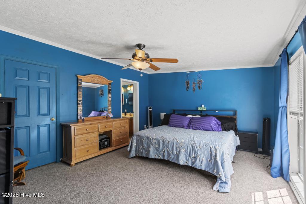 395 Peru Road Sneads Ferry, NC 28460 - Photo 20 of 31 425A3160