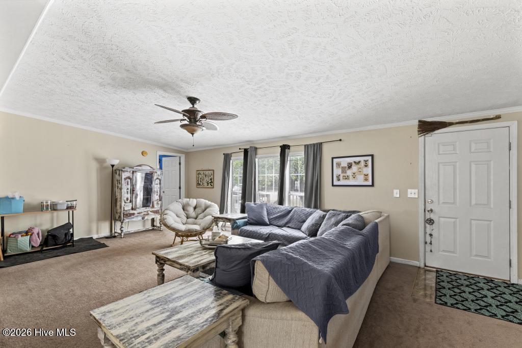 395 Peru Road Sneads Ferry, NC 28460 - Photo 5 of 31 425A3130