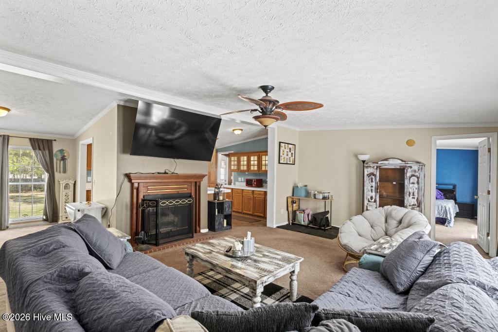 395 Peru Road Sneads Ferry, NC 28460 - Photo 6 of 31 425A3133
