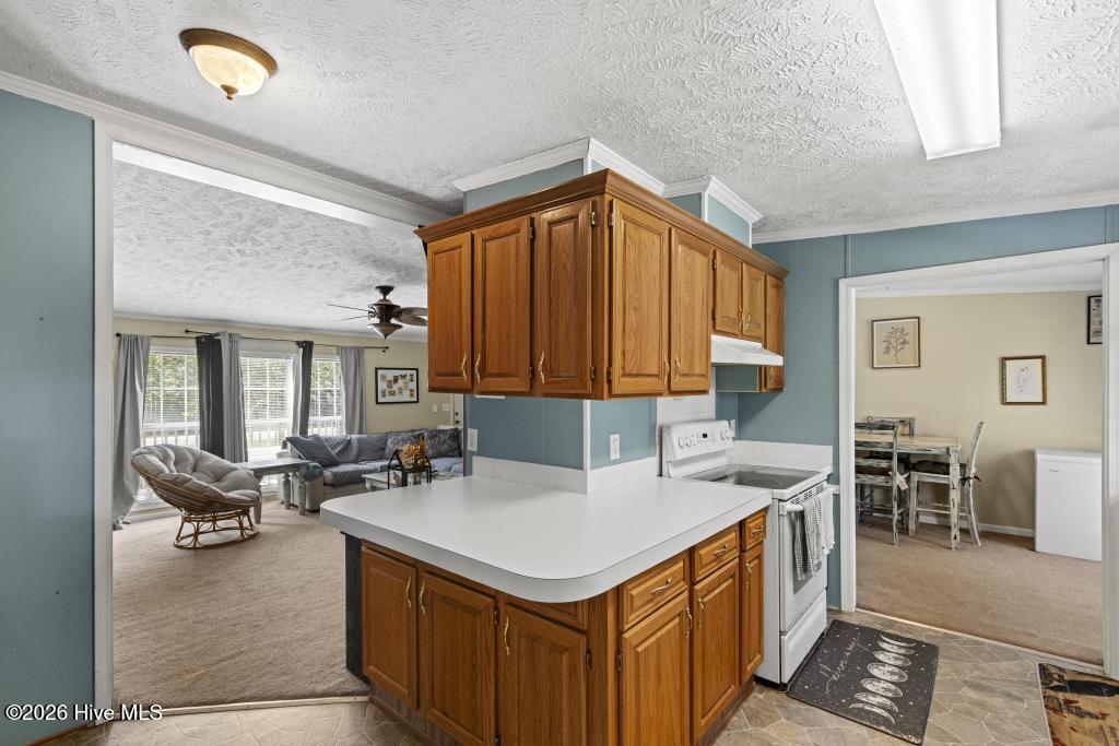 395 Peru Road Sneads Ferry, NC 28460 - Photo 8 of 31 425A3148