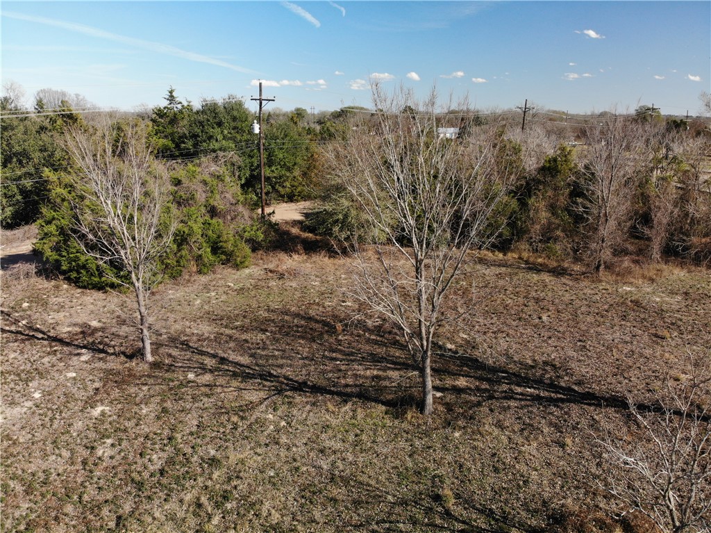 1.75-acres Low Wood Road Somerville, TX 77879 - Photo 16 of 22 a view of a dry yard with trees