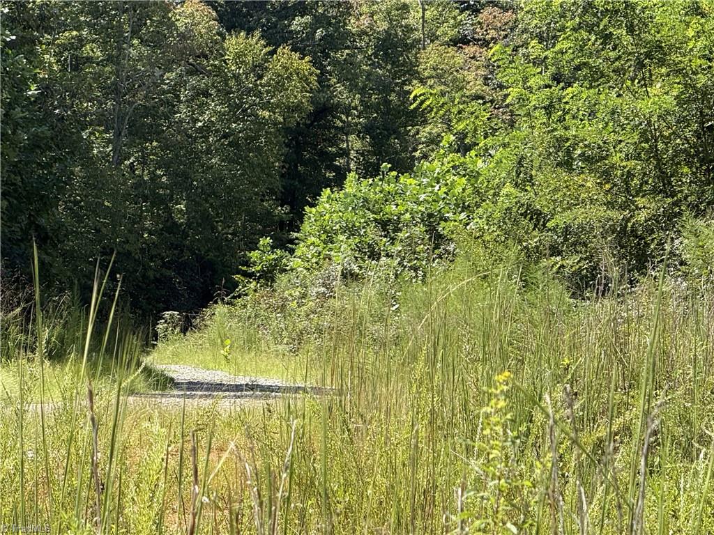 Off Off Bauguess Mill Road Traphill, NC 28685 - Photo 4 of 6 Gallery Image 4