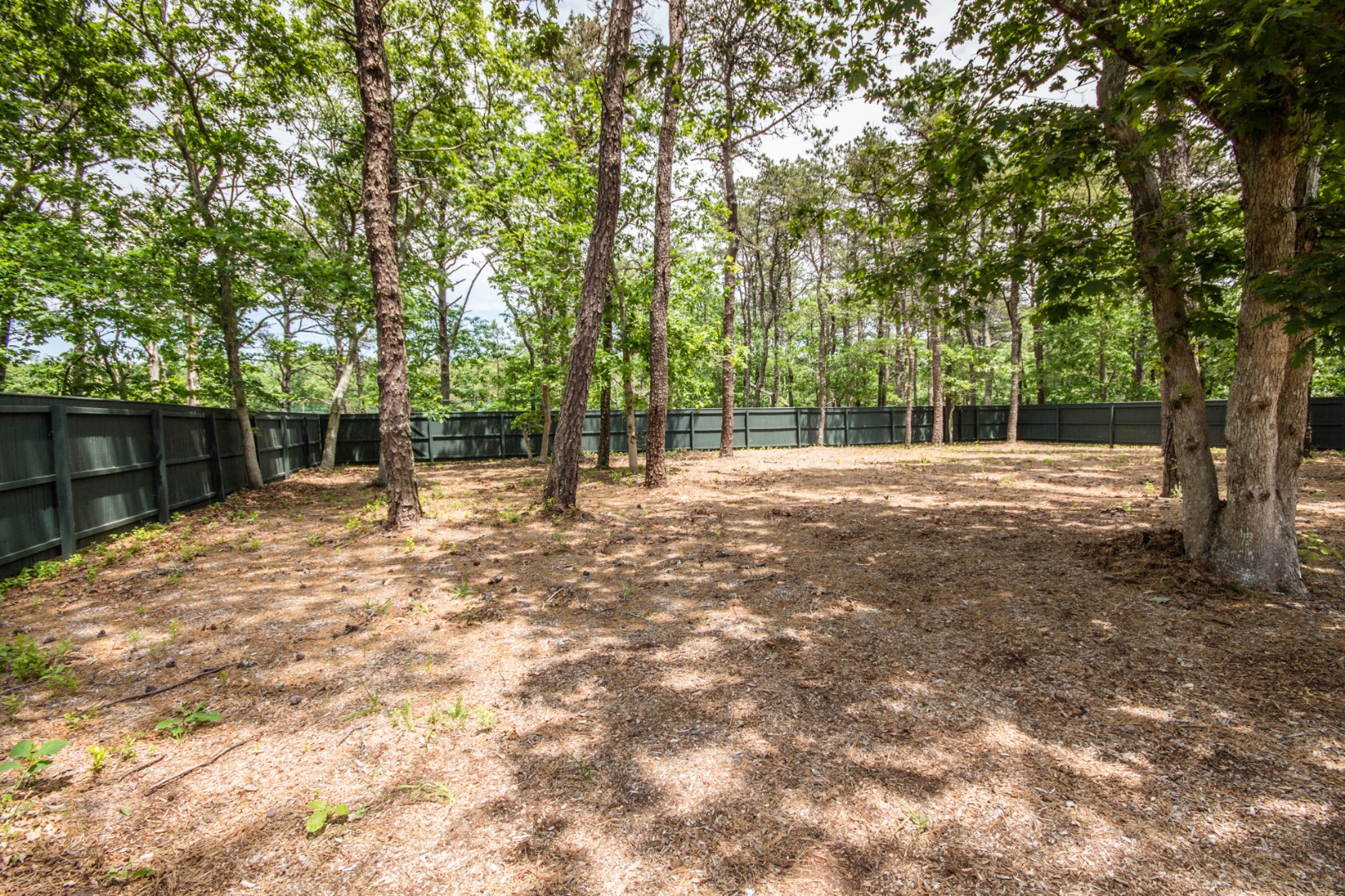 81 Marthas Road Edgartown, MA 02539 - Photo 3 of 23 a backyard of a house with lots of green space