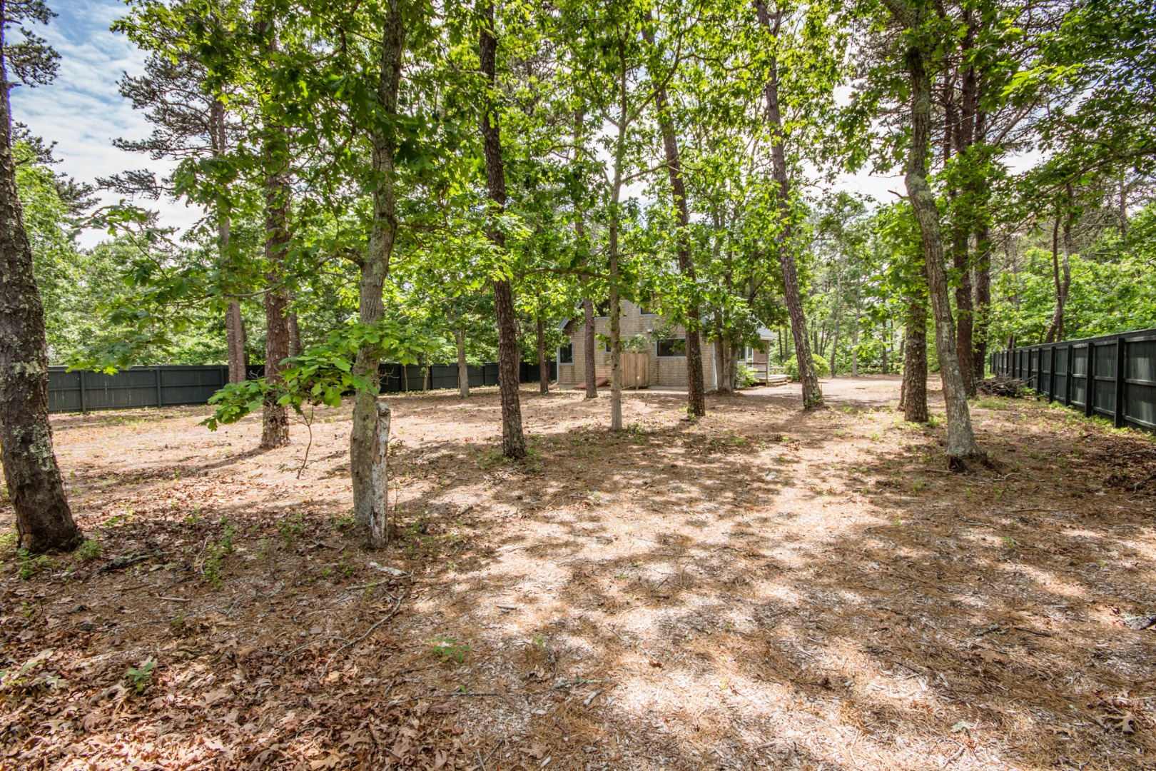 81 Marthas Road Edgartown, MA 02539 - Photo 6 of 23 a view of outdoor space with deck and trees