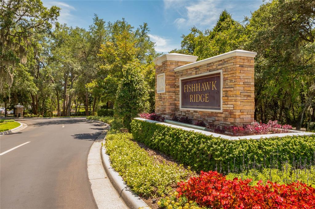 5870 Fishhawk Ridge Drive Lithia, FL 33547 - Photo 23 of 34 a view of a house with a yard and potted plants
