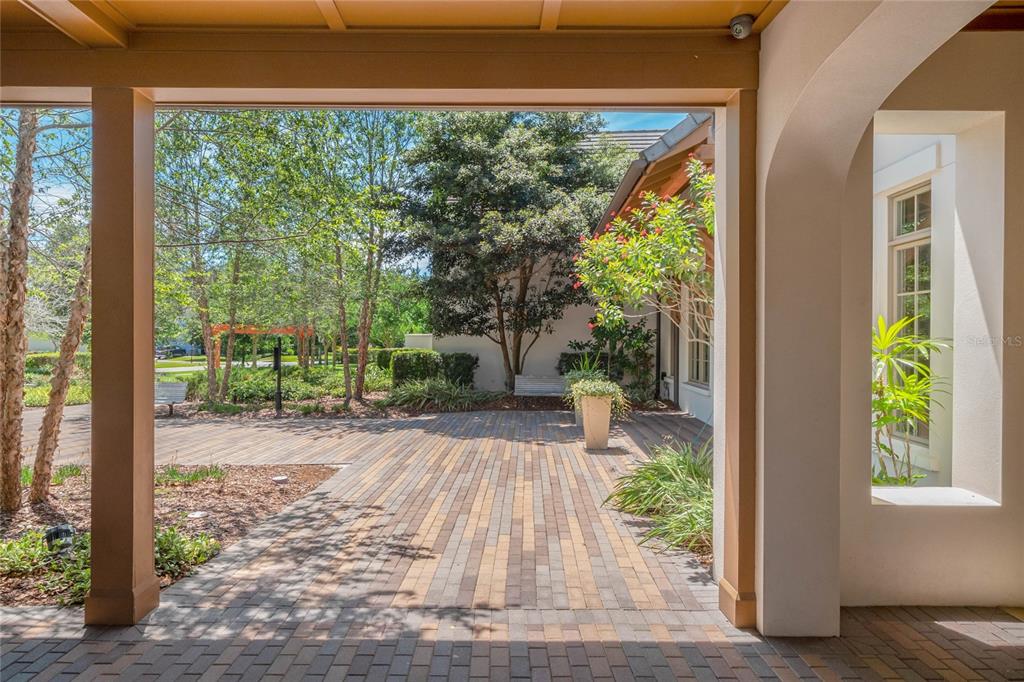 5870 Fishhawk Ridge Drive Lithia, FL 33547 - Photo 29 of 34 a view of backyard with green space