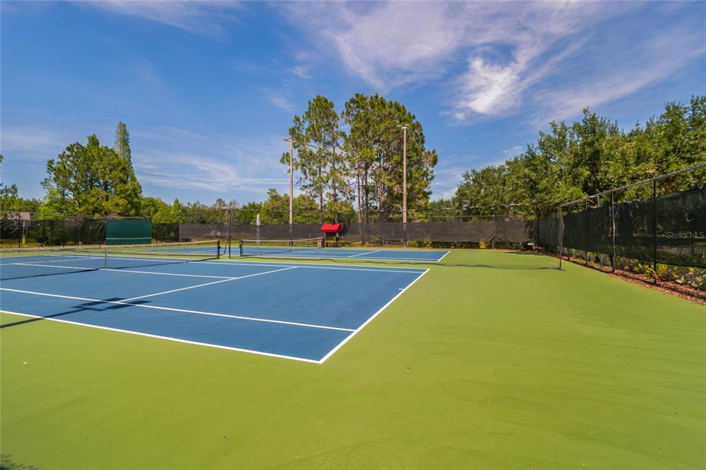 5870 Fishhawk Ridge Drive Lithia, FL 33547 - Photo 32 of 34 a view of a tennis court