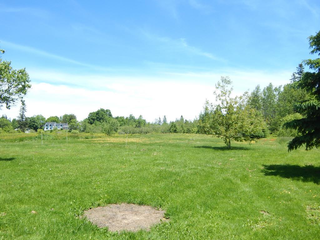 22 Hardy Point Road Pembroke, ME 04666 - Photo 7 of 30 Very large rear yard for pets,...