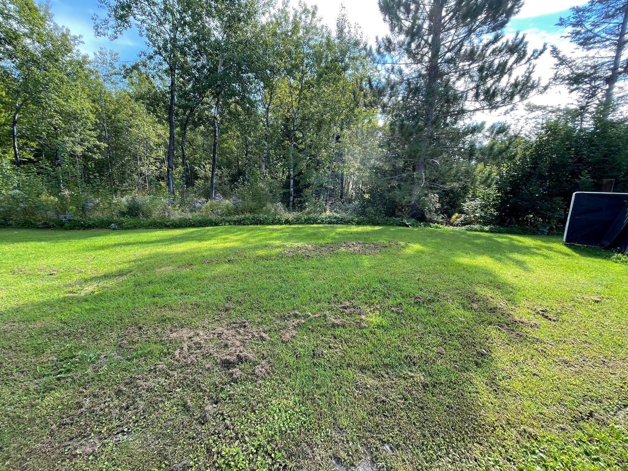 1241 Ludlow Road Houlton, ME 04730 - Photo 11 of 35 SSWW Field (1241 Ludlow Road)
