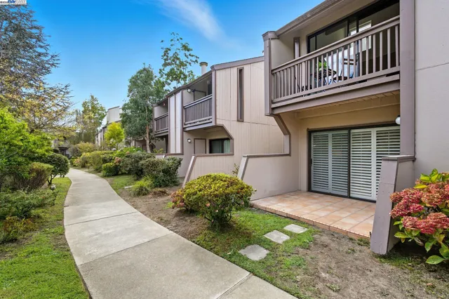 a pathway of a house with potted plants and a wooden fence