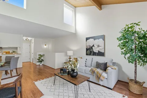 a living room with furniture potted plant and a window