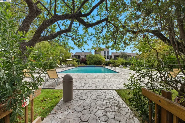 a view of a garden with a tree