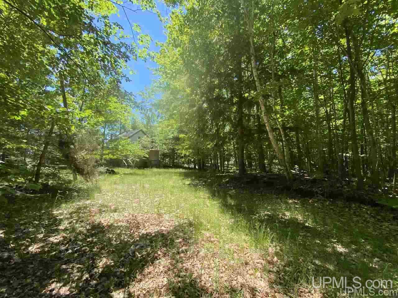 3423 Co Road Big Bay, MI 49808 - Photo 19 of 27